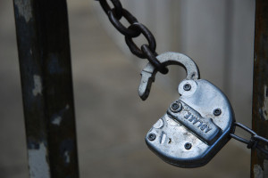 Foto: Tripp Foto: Tripp