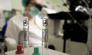 | SciELO em Perspectiva
