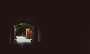 | SciELO em Perspectiva
