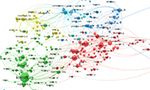 Mapa de co-citação elaborado pelos autores com o software VOSviewer.